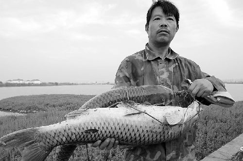 曹培武面对满湖死鱼欲哭无泪(来源:江淮晨报)