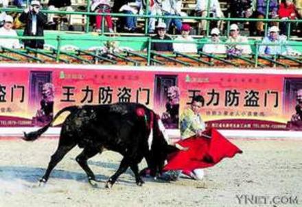 上海西班牙斗牛不杀牛(图)
