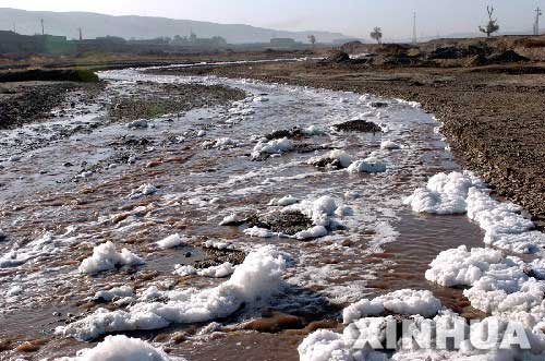 黄河支流清水河遭严重污染组图