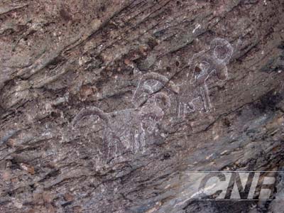 贺兰山岩画：人类原始艺术之门(组图)