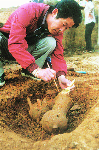 新闻中心 国内新闻 正文 逍遥津 尉迟寺遗址是大汶口文化