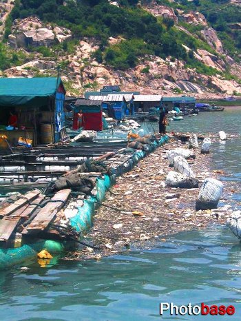 福建东海海域污染触目惊心 敲响生态警钟(图)