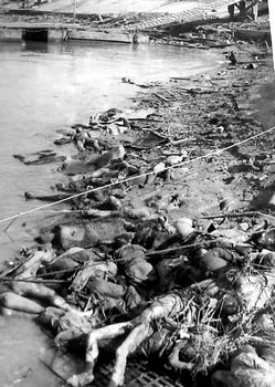 这是大屠杀后,南京郊外尸横遍野.