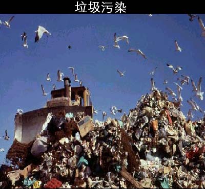 新固体废物污染防治法:向江河湖泊丢垃圾属违