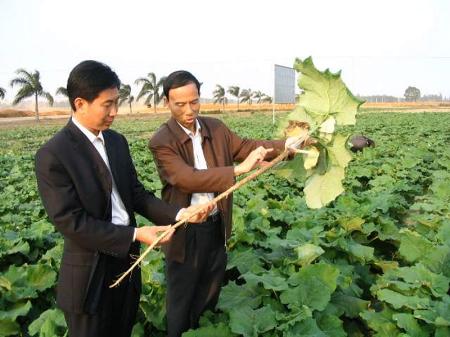 黄坡镇人口_吴川市黄坡镇 因地制宜促发展公共服务惠群众