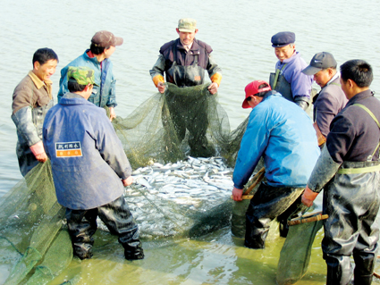 江苏农垦白马湖农场(图)