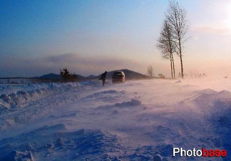 组图:黑龙江双鸭山市树木减少大雪常封路