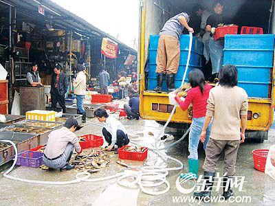 广州:拱形带子疑是祸首 黄沙水产市场禁售(图)