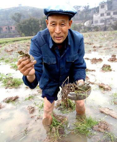 当地政府强行征地 农民痛失春种时节(组图)