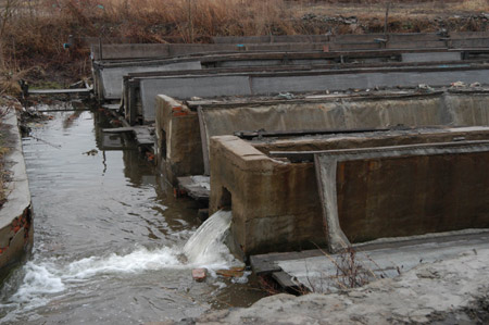 吉林污染调查显示化工厂污水直入松花江
