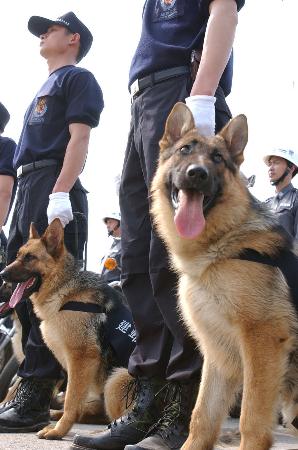 图文:南京:派出所装备警犬(2)