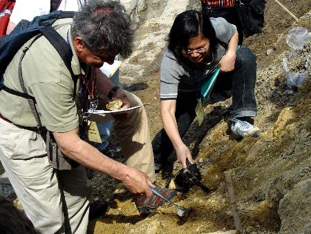 图文:中外地质专家"会诊"巢湖平顶山(2)