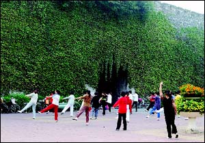 南京大力提倡垂直绿化 汉中门广场生机勃勃(