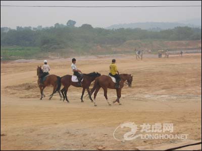 南京赛马场揭开神秘面纱 全国马术赛8日在宁举行(组图