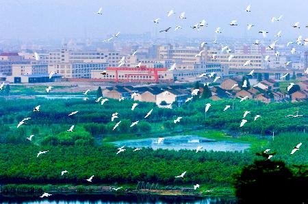 图文绍兴镜湖成为浙江首个国家城市湿地公园3