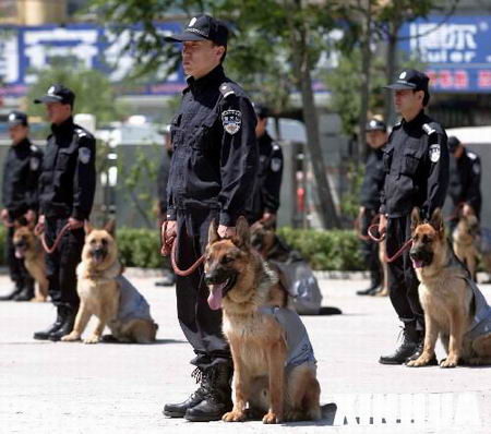 北京巡警开始全面携犬巡逻警犬为德国黑贝图