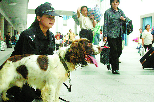 在该派出所的请求下,省公安厅刑警总队出动两头史宾格小型缉毒犬,在