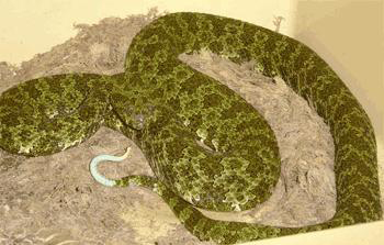 国宝级濒危蛇种在湖南莽山自然博物馆被盗(图