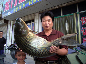 http://image2.sina.com.cn/dy/c/2005-09-18/7f600abc2fae66a112f84df646c180b6.jpg