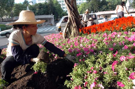 国庆换妆 摆花改种花(图)