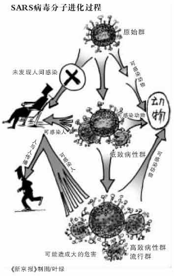学生制作SARS网站 新浪网