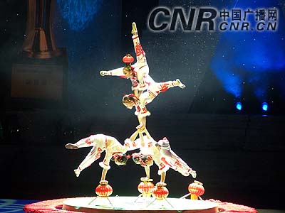 第十届中国吴桥国际杂技艺术隆重举行