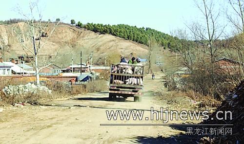 养猪场建河边 污水随意流 宾县二龙山水库被污