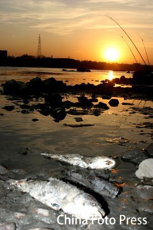 国务院派出专家组处理松花江水环境污染问题