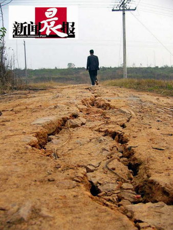 长江九江段大堤附近地面受地震影响裂陷(组图)