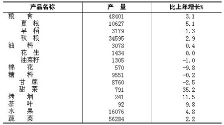 年末总人口