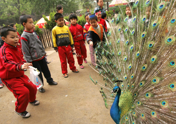 爱鸟周活动启动 你知道郑州有多少种鸟吗?