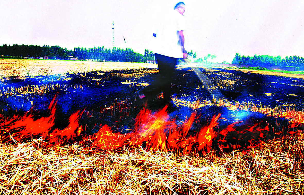 河北省固安一处农田里村民仍在火烧麦秆
