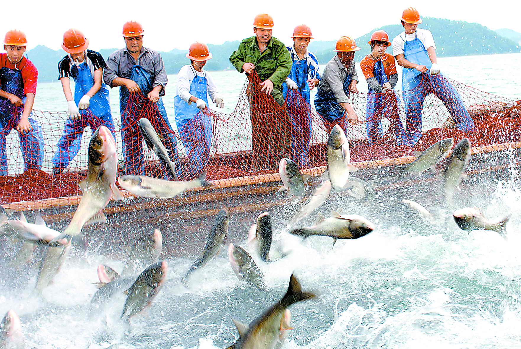 千岛湖巨网捕鱼