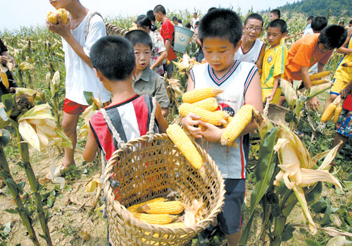 训练意志50富家子干农活挣饭吃