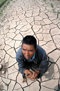 甘肃三年干旱缺水严重