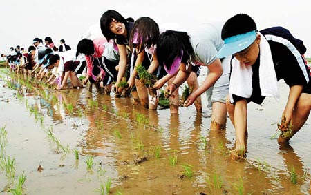 韩国新村运动:神话还是误会