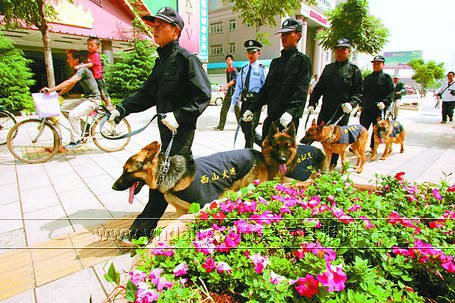 昆明首支区级公安局警犬巡逻中队上街执勤