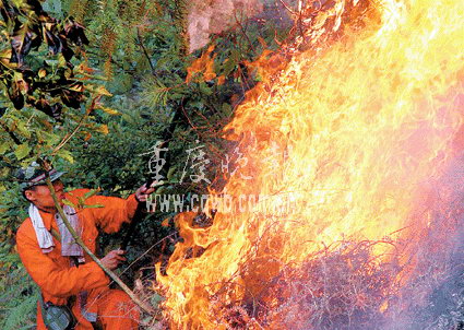 重庆璧山突发山火燃烧12小时未得到控制组图