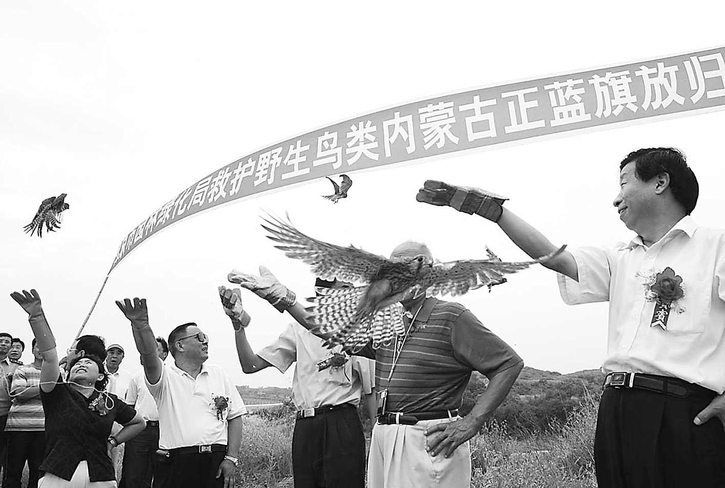 北京人护送400只百灵鸟回草原