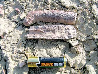 白垩纪古湖盆地奇观:生物遗迹化石变成铁管(图)