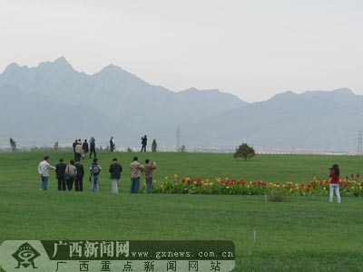 贺兰山下荒漠变绿洲 网上行记者宁夏石嘴山市