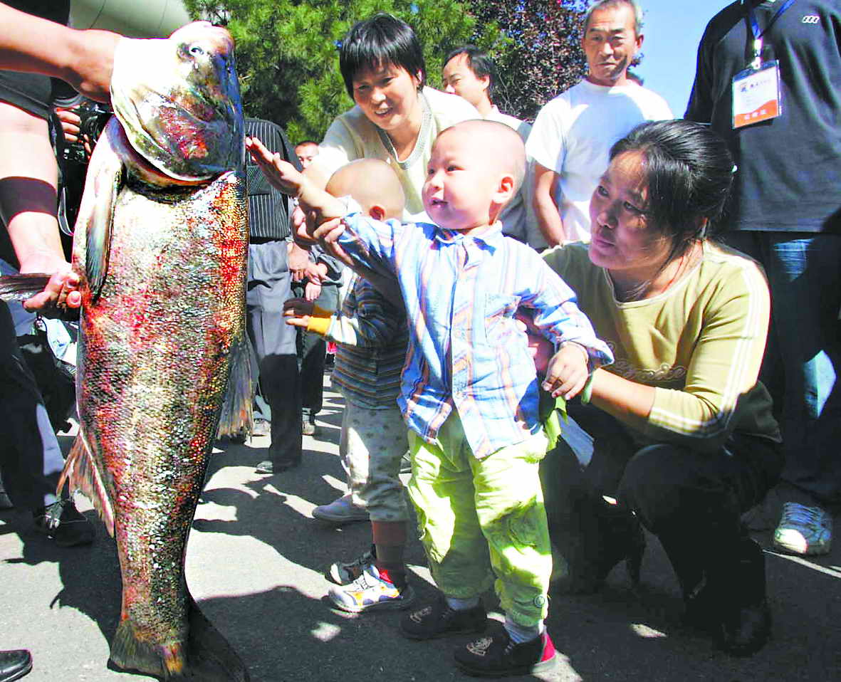 今年的鱼王拍卖是将开库以后捕捞到的最大的珍