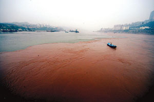 重庆长江段出现滚滚泥沙"走沙水"的现象水位陡涨4米多   嘉陵江口分