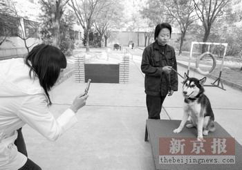 北京警方澄清虐杀狗传言称入户宣传非入户查抄