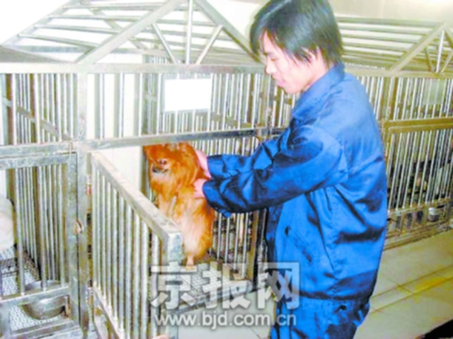 北京市公安局犬类留检所首度向媒体记者