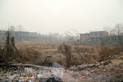 西安灞桥土地延包政策遭推诿 数十亩耕地荒毁