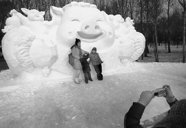 "雪猪"受青睐