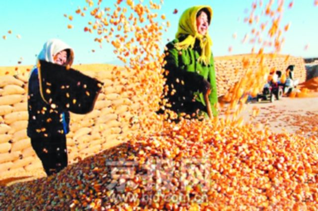 陕西人口2021总人数口_陕西各市人口排名(3)