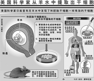 干细胞最新消息