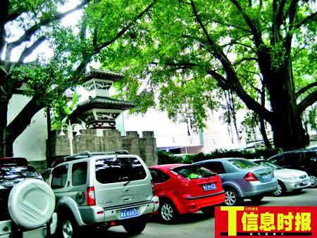 广州文化公园被酒楼包围日停商务车逾800辆